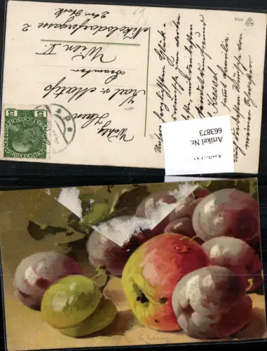 663873,Künstler AK Catharina Klein Früchte Obst Apfel Pflaume