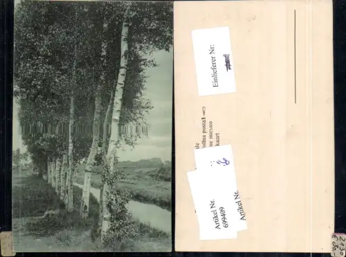 699409 Künstler AK Birken Bäume Bach Landschaft