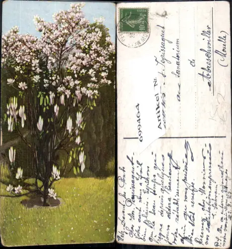 699464 Künstler AK Strauch Blumen Wiese Botanik gel Abreschwiller Moselle