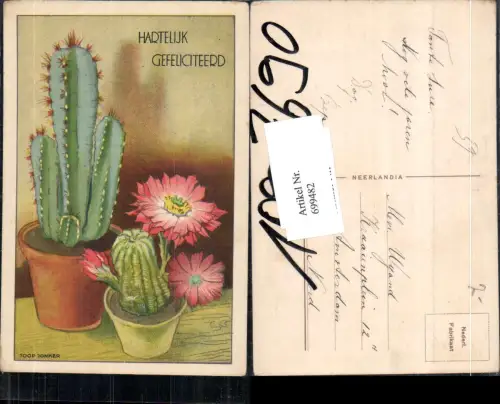 699482 Künstler AK Joop Jonker Kaktus Kakteen Blumen