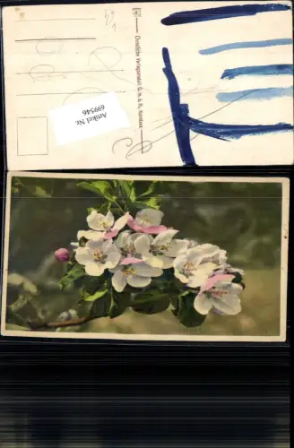 699546 Künstler AK Blumen pub Christliche Verlagsanstalt