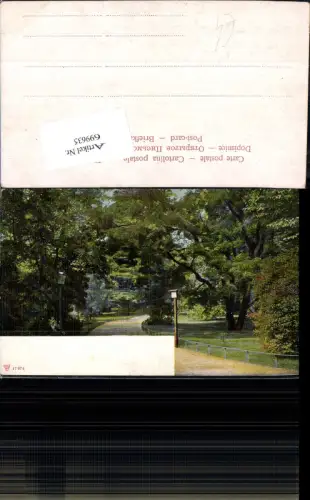 699635 Künstler AK Stadtpark Park Bäume Laterne