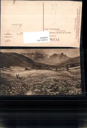 699644 Künstler AK Mac Whirter June in Austrian Tyrol Tirol Seefeld Umgebung