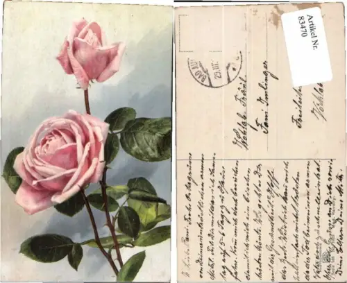 83470,Photochromie Ser 528-1010 Rose Ravary