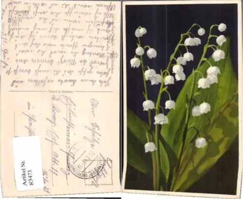 83473,Photochromie Ser 363-1889 Maiglöckchen