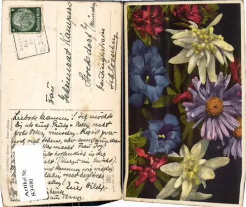 83480,Photochromie 655-1859 Enzian Edelweiss