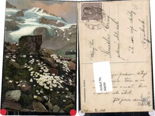 84694,Photochromie Ser. Alpenflora L 518 Blumen