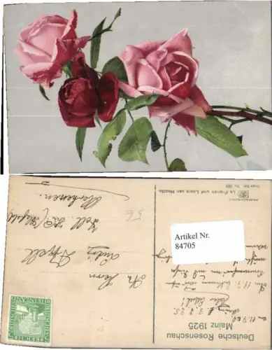 84705,Photochromie Ser. 501-708 Rosenschau Mainz 1925