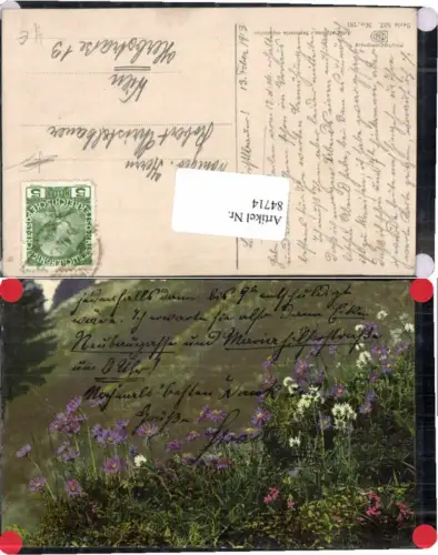 84714,Photochromie Ser. 507-781 Alpenflora