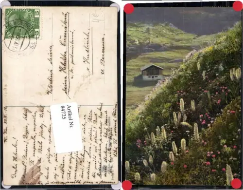 84725,Photochromie Ser. Alpenflora L 523 Blumen