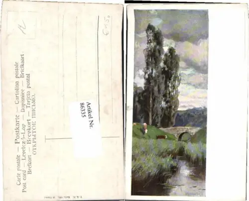86335,F. Splitgerber jun. Kühe Weide Theo Stroefer 681