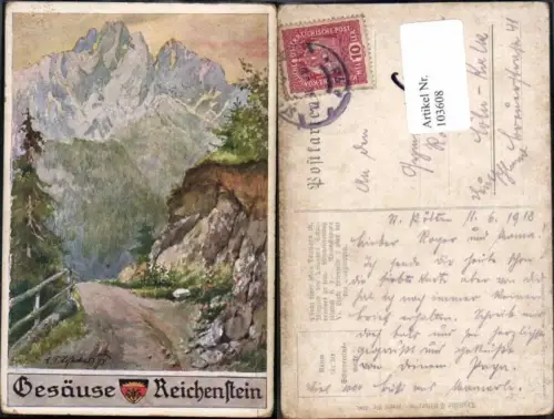 Dt. Schulverein 599 Gesäuse Reichenstein Johnsbach E.F. Hofecker 103608