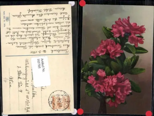 103705,Photochromie Ser 564-1374 Blume Margariten