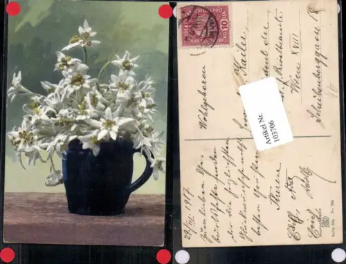 103706,Photochromie Ser 504-734 Edelweiss