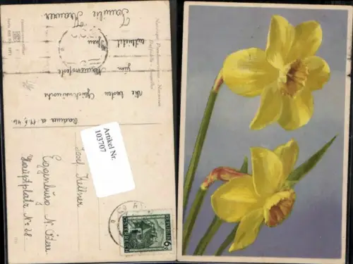 103707,Photochromie Ser 683-1971 Narzissen