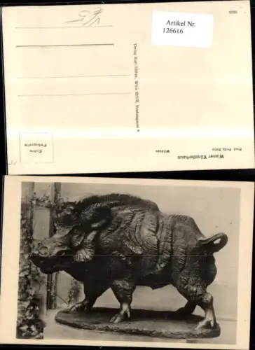 126616,Wiener Künstlerhaus 7838 Wildsau