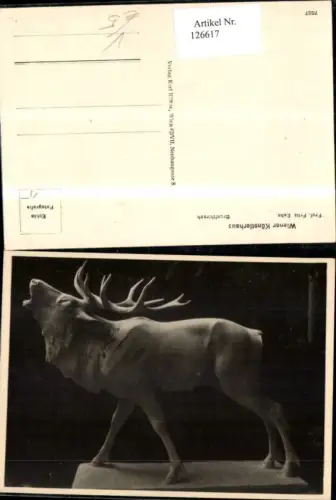 126617,Wiener Künstlerhaus 7837 Brunfthirsch