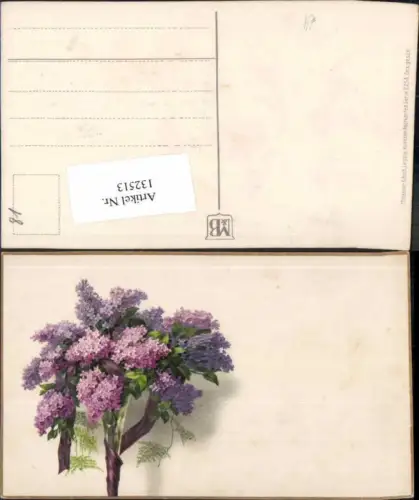 132513,Meissner e Buch Leipzig 2258 Blumen