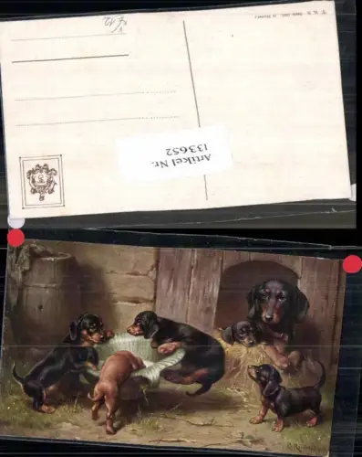 133652,Theo Stroefer 1541 Dackel Hund Welpen Hunde Hütte Tolle AK