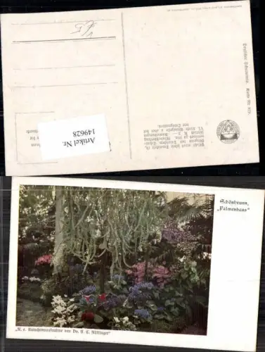 149628,Dt Schulverein 629 Schönbrunn Palmenhaus
