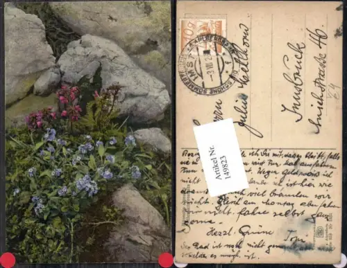 149823,Photochromie Nenke Ostermaier 559-1331 Blumen