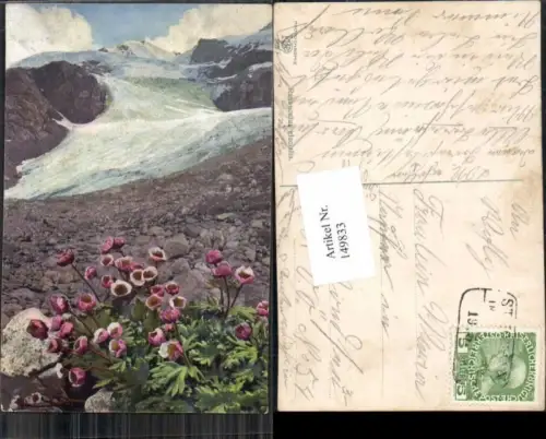 149833,Photochromie Nenke Ostermaier 505 Blumen Gletscher Gletscherzunge