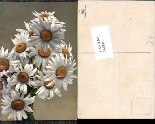 149835,Photochromie Nenke Ostermaier 417 Blumen Gänseblümchen