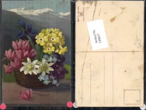 149837,Photochromie Nenke Ostermaier 586-1525 Edelweiss Blumen A. Wagner