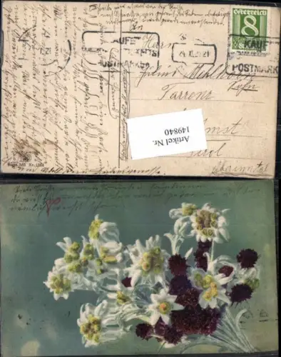 149840,Photochromie Nenke Ostermaier 563-1364 Edelweiss