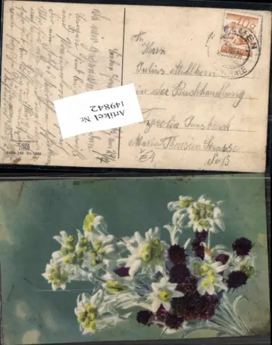 149842,Photochromie Nenke Ostermaier 563-1364 Edelweiss