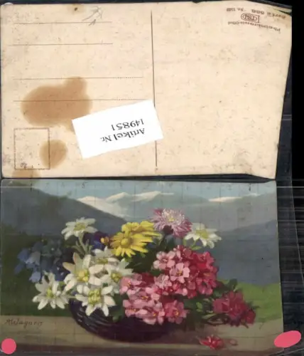 149851,Photochromie Nenke Ostermaier 586-1522 A. Wagner Blumen Edelweiss