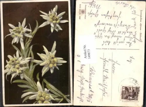 149873,Photochromie Nenke Ostermaier 656-1860 Edelweiss Blumen