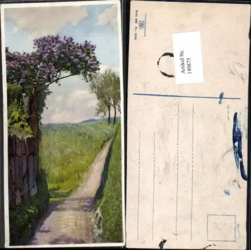 149875,Photochromie Nenke Ostermaier 360-5093 Flieder Strauch Weg