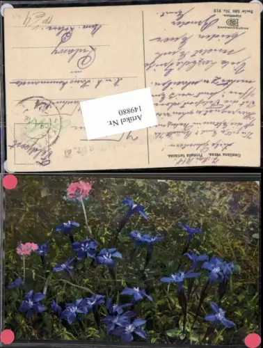 149880,Photochromie Nenke Ostermaier 520-912 Alpenflora Feldpost 521