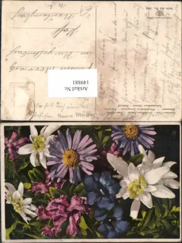 149881,Photochromie Nenke Ostermaier 655-1858 Enzian Blumen