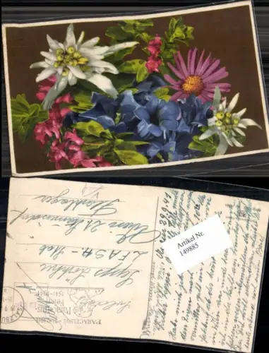 149885,Photochromie Nenke Ostermaier 702-2044 Paracelsus Feier1941