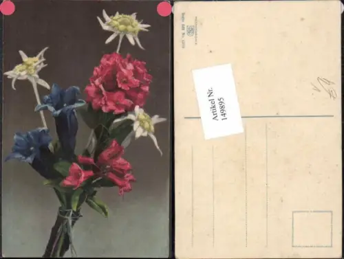 149895,Photochromie Nenke Ostermaier 562-1359 Blumen Edelweiss Blumen