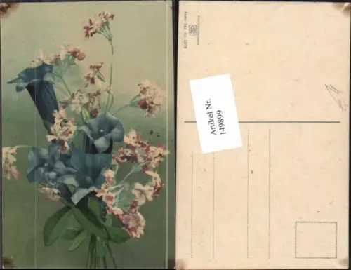 149899,Photochromie Nenke Ostermaier 564-1373 Blumen