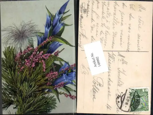 149902,Photochromie Nenke Ostermaier Alpenflora Blumen H. 489