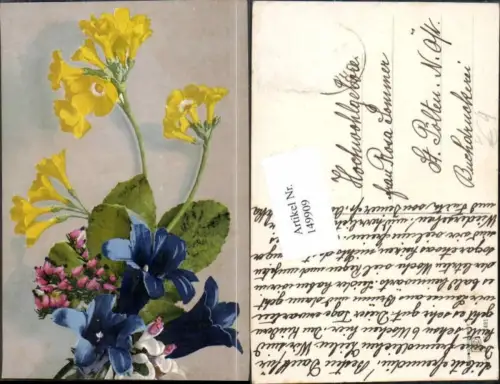 149909,Photochromie Nenke Ostermaier Serie II - 491 A. Haller unsign