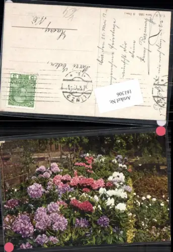 161306,Theo Stroefer 1253 Blumen Pfingsten nach Haag