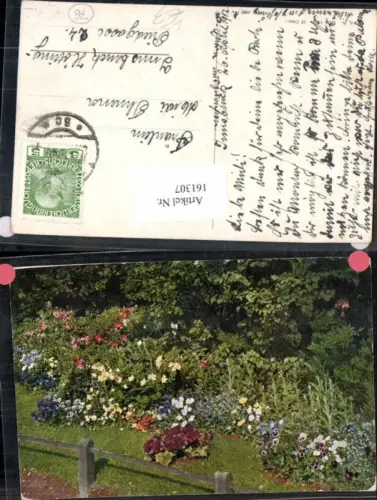 161307,Theo Stroefer 1262 Blumen Beet