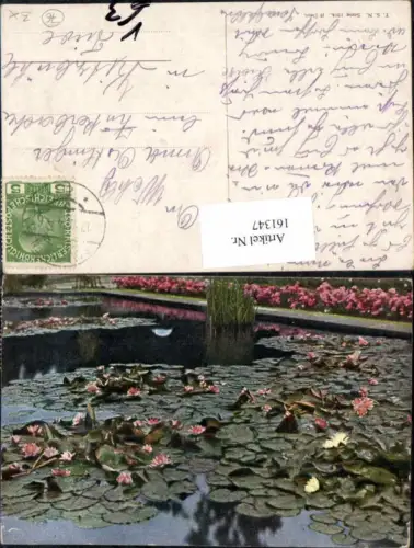 161347,Theo Stroefer 1264 Seerosen Rosen Blumen