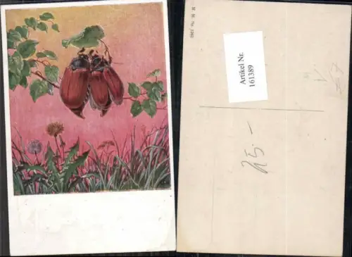 161389,M. Munk Vienne 1262 Maikäfer