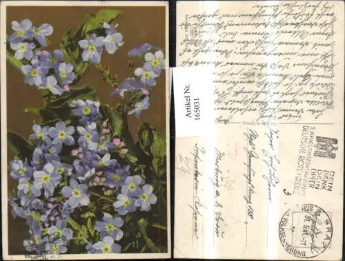 165031,Photochromie Nenke e Ostermaier 684euro1974 Vergißmeinnicht Blume