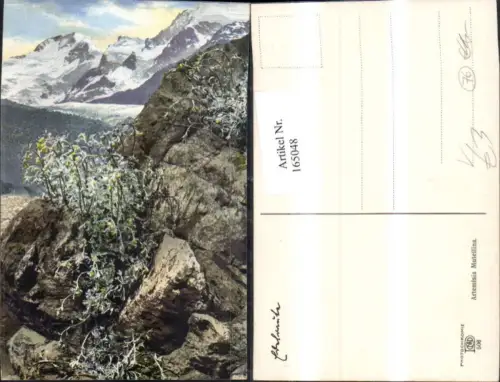 165048,Photochromie Nenke e Ostermaier 506 Blumen Gebirge Berglandschaft