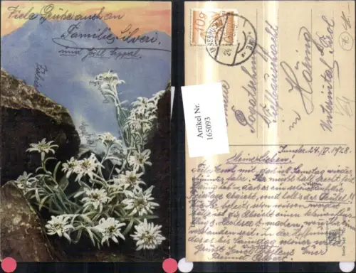 165093,Photochromie Nenke e Ostermaier 548euro1221 Edelweiß Steine Felsen Gebirge