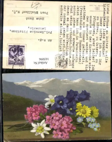 165096,Photochromie Nenke e Ostermaier 584euro1509 Blumenstrauß Blumen Gebirge sign A Wagner