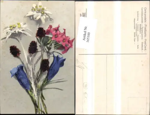 165100,Photochromie Nenke e Ostermaier 475 Blumenstrauß Blumen Enzian Edelweiß