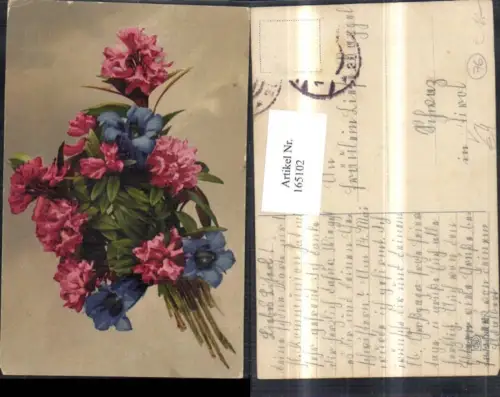 165102,Photochromie Nenke e Ostermaier 504euro737 Blumen Enzian